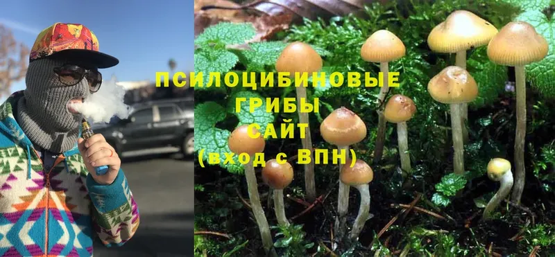 наркотики  Дзержинский  МЕГА ссылки  Галлюциногенные грибы Magic Shrooms 